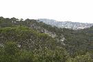 gal/Saison 2011/En_route_vers_le_Mont_Faron/_thb_IMG_9746.JPG